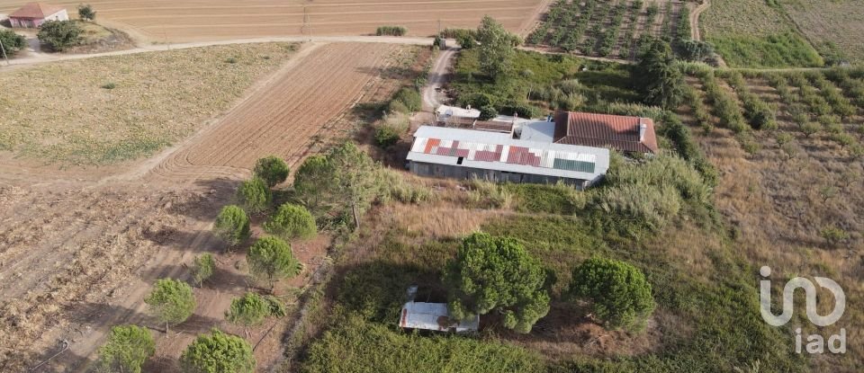Farm T2 in Miragaia e Marteleira of 184 m²