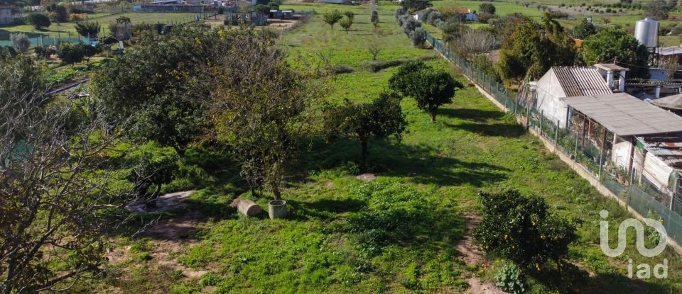 Terreno em Poceirão e Marateca de 6 000 m²