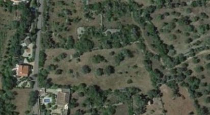 Terrain à São Brás de Alportel de 7 880 m²