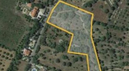 Terrain à São Brás de Alportel de 7 880 m²