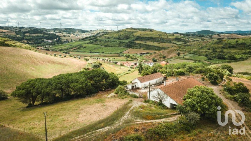 Terrain à Santa Maria, São Pedro E Matacães de 320 720 m²