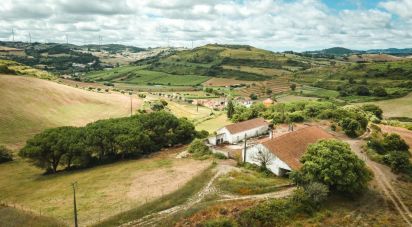Terrain à Santa Maria, São Pedro E Matacães de 320 720 m²