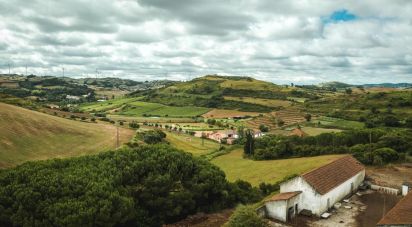 Terrain à Santa Maria, São Pedro E Matacães de 320 720 m²