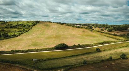 Terrain à Santa Maria, São Pedro E Matacães de 320 720 m²
