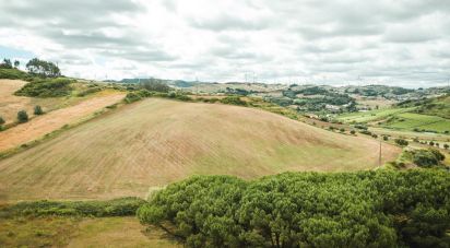 Terrain à Santa Maria, São Pedro E Matacães de 320 720 m²