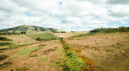 Terrain à Santa Maria, São Pedro E Matacães de 320 720 m²