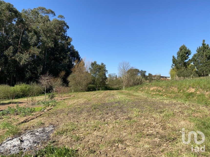 Land in Oiã of 512 m²