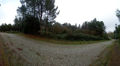 Terrain à Pinheiro da Bemposta, Travanca e Palmaz de 1 147 m²