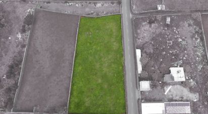 Terrain à bâtir à Pico da Pedra de 2 800 m²