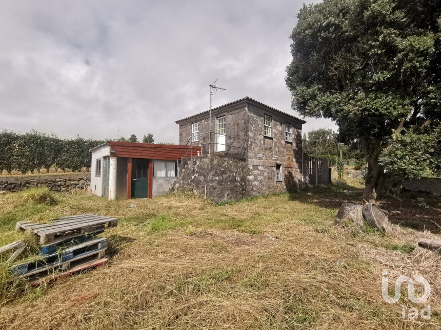 Land in Feteira of 5,000 m²