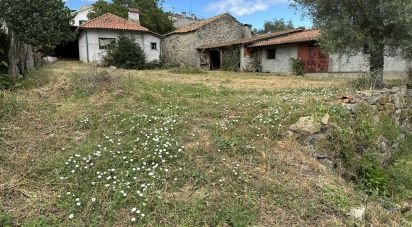 Terrain à bâtir à Madalena e Samaiões de 4 000 m²