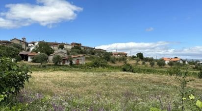 Terrain à bâtir à Madalena e Samaiões de 4 000 m²