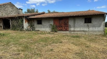 Terrain à bâtir à Madalena e Samaiões de 4 000 m²