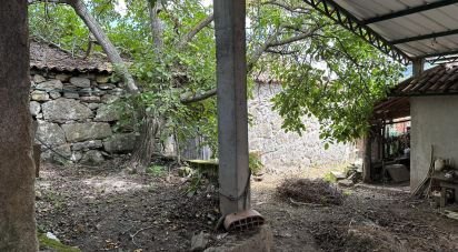 Terrain à bâtir à Madalena e Samaiões de 4 000 m²