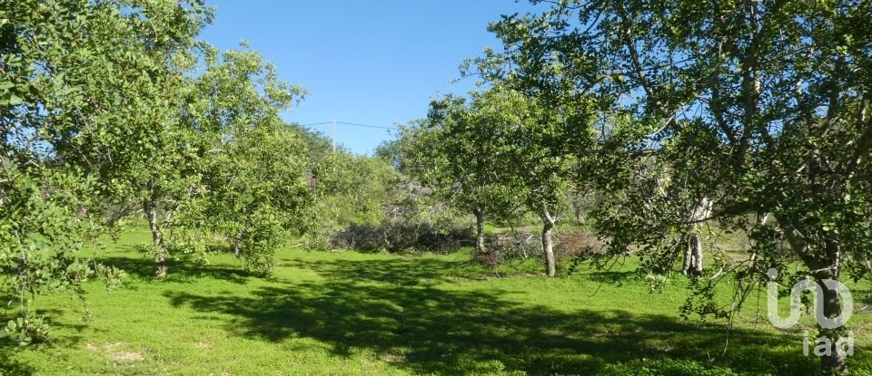 Country home T1 in Luz de Tavira e Santo Estêvão of 166 m²
