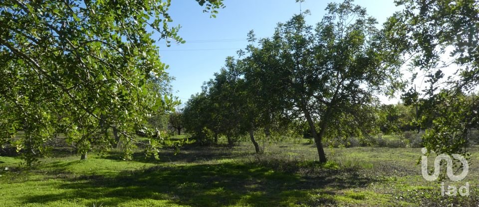 Country home T1 in Luz de Tavira e Santo Estêvão of 166 m²
