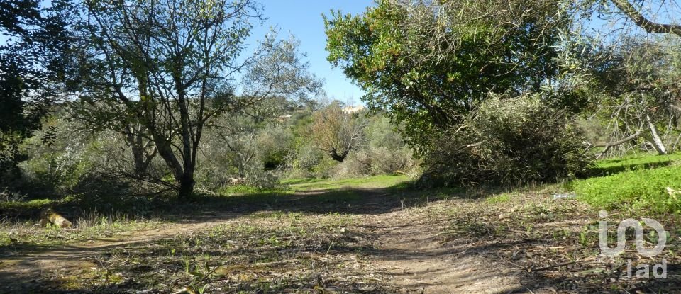 Country home T1 in Luz de Tavira e Santo Estêvão of 166 m²