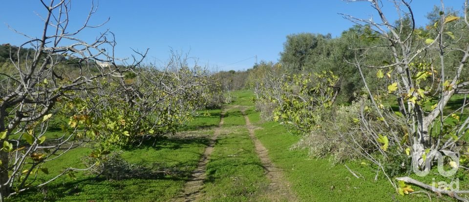 Country home T1 in Luz de Tavira e Santo Estêvão of 166 m²