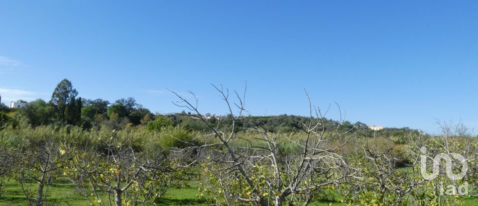 Country home T1 in Luz de Tavira e Santo Estêvão of 166 m²