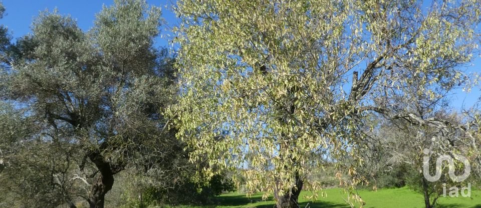 Country home T1 in Luz de Tavira e Santo Estêvão of 166 m²