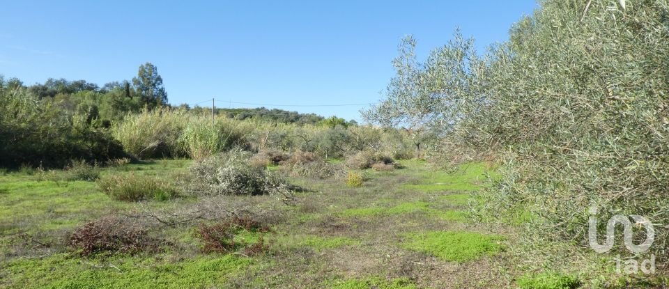 Country home T1 in Luz de Tavira e Santo Estêvão of 166 m²