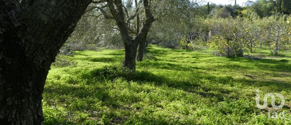 Country home T1 in Luz de Tavira e Santo Estêvão of 166 m²