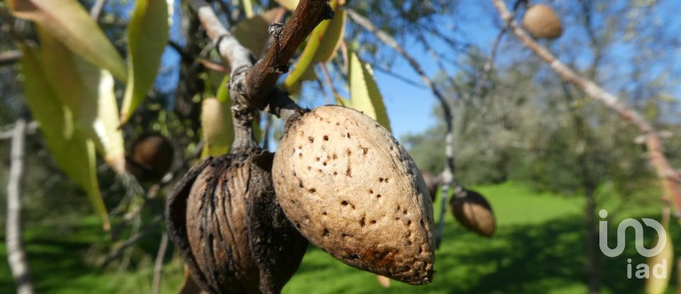 Country home T1 in Luz de Tavira e Santo Estêvão of 166 m²