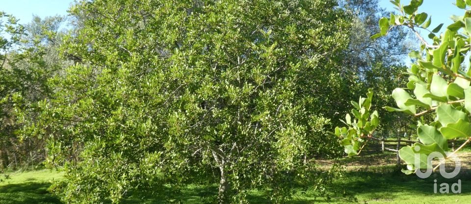 Country home T1 in Luz de Tavira e Santo Estêvão of 166 m²