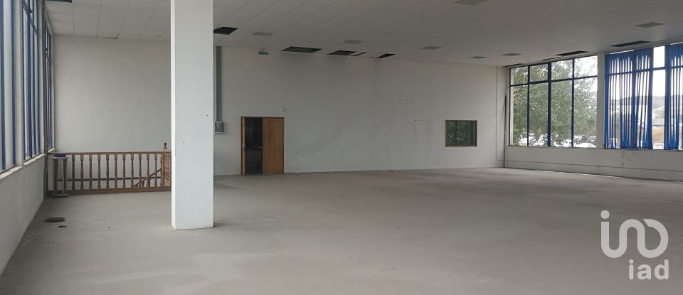 Loja / Estabelecimento Comercial em Chão de Couce de 2 622 m²