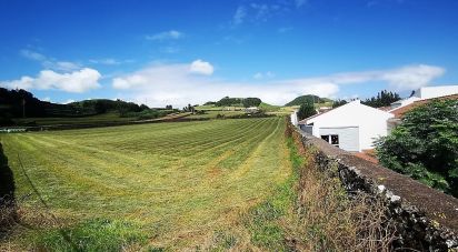Terrain à bâtir à Fajã de Cima de 26 221 m²
