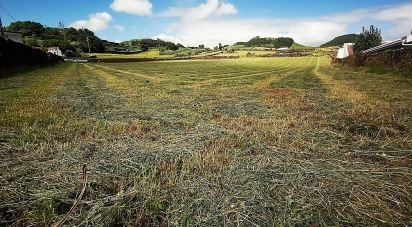 Terrain à bâtir à Fajã de Cima de 26 221 m²