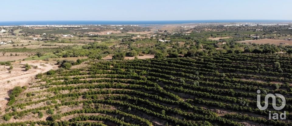Land in Tavira (Santa Maria e Santiago) of 150,000 m²