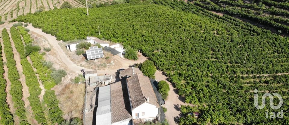 Land in Tavira (Santa Maria e Santiago) of 150,000 m²
