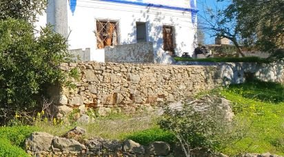 Farm T4 in Pechão of 13,960 m²