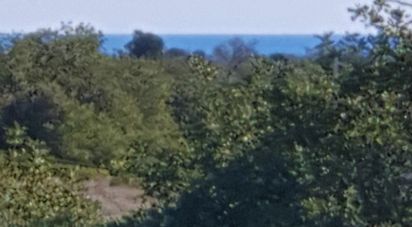 Farm T4 in Pechão of 13,960 m²