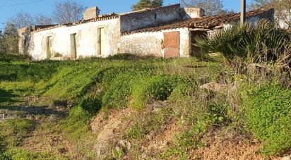 Farm T4 in Pechão of 13,960 m²