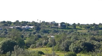 Farm T4 in Pechão of 13,960 m²