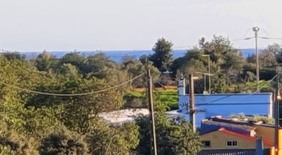 Farm T4 in Pechão of 13,960 m²