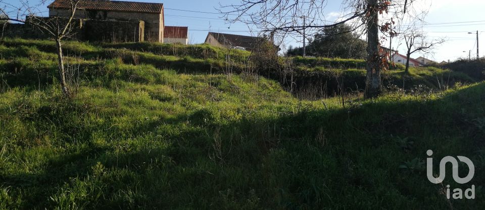 Land in Covilhã e Canhoso of 1,294 m²