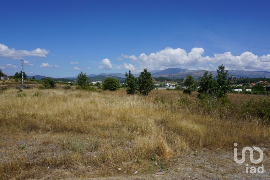 Land in Alcaria of 5,230 m²