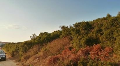 Terrain à Rio de Mouro de 2 880 m²