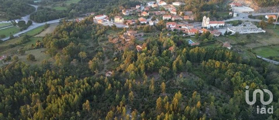 Land in Cambra e Carvalhal de Vermilhas of 985 m²