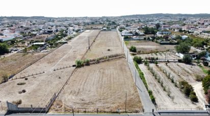 Land in Fazendas de Almeirim of 12,840 m²