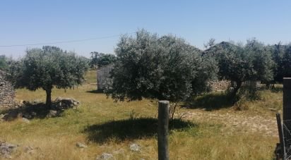 Land in Alcains of 76,620 m²
