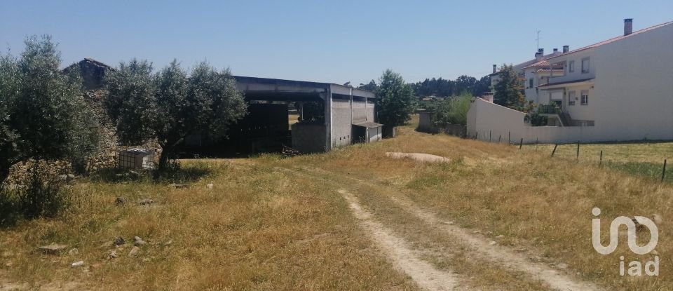 Land in Alcains of 76,620 m²