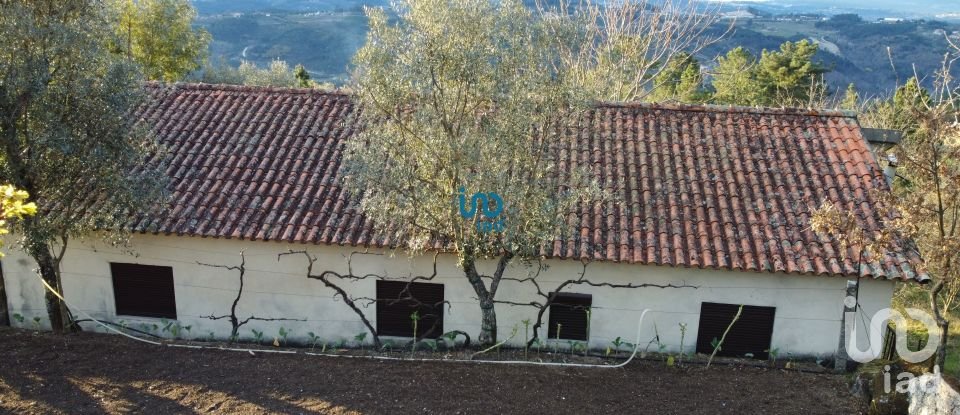 Casa / Villa T3 em Várzea, Aliviada e Folhada de 200 m²