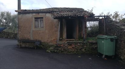 Village house T0 in Alvares of 56 m²