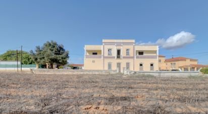 Ferme T7 à Quelfes de 102 150 m²