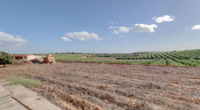 Ferme T7 à Quelfes de 102 150 m²