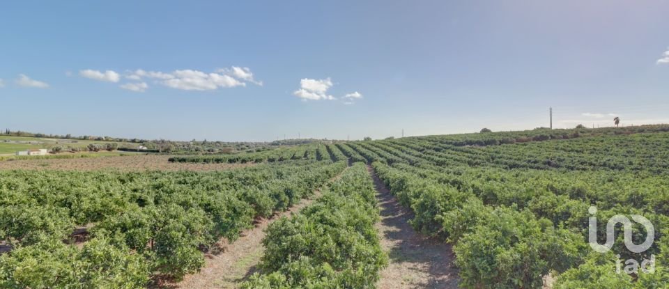 Quinta T7 em Quelfes de 102 150 m²